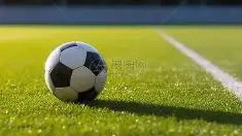 盐津小学篮球队荣获全国冠军，姚明颁奖盛典盛大举行！