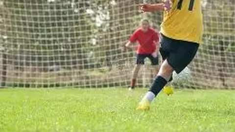 萨巴伦卡荣获女子网球年度最佳运动员殊荣。